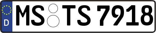 MS-TS7918