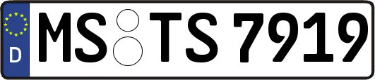 MS-TS7919