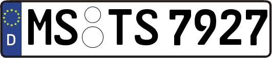 MS-TS7927