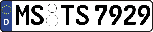 MS-TS7929