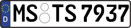 MS-TS7937