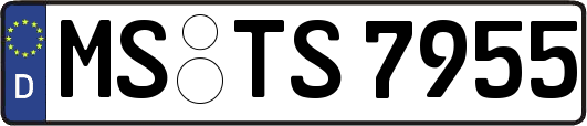 MS-TS7955