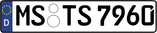 MS-TS7960