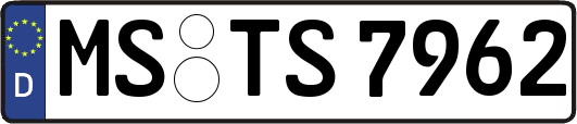 MS-TS7962