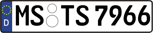 MS-TS7966