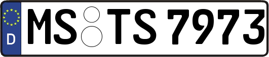 MS-TS7973