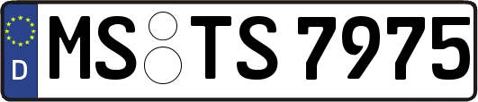MS-TS7975