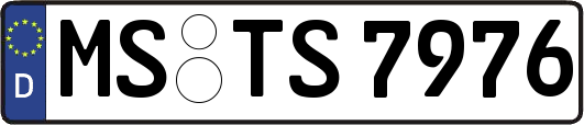MS-TS7976