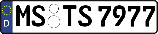 MS-TS7977