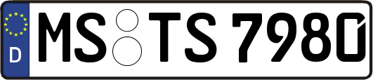 MS-TS7980