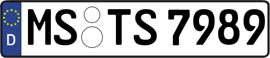 MS-TS7989