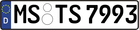 MS-TS7993
