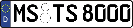 MS-TS8000