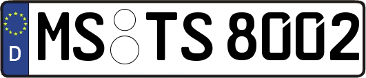 MS-TS8002