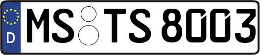 MS-TS8003