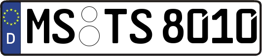MS-TS8010
