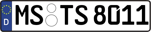 MS-TS8011