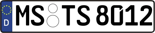MS-TS8012