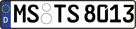 MS-TS8013