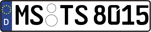 MS-TS8015