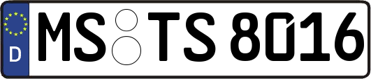 MS-TS8016