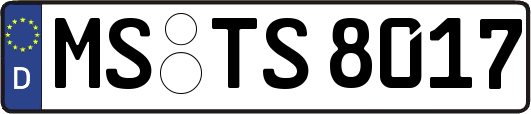 MS-TS8017