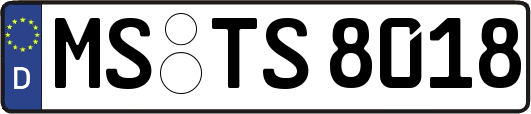MS-TS8018