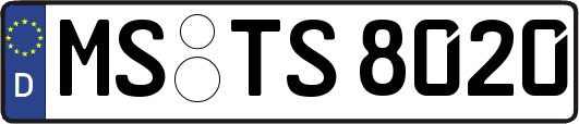 MS-TS8020