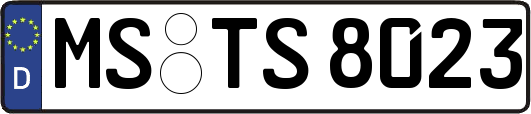 MS-TS8023