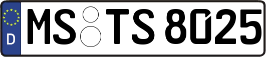 MS-TS8025