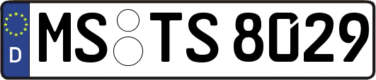 MS-TS8029