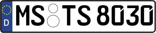 MS-TS8030