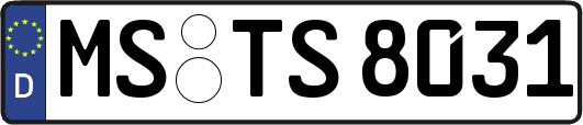MS-TS8031