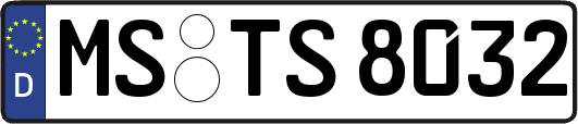 MS-TS8032