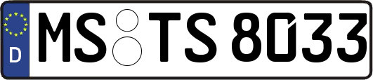 MS-TS8033