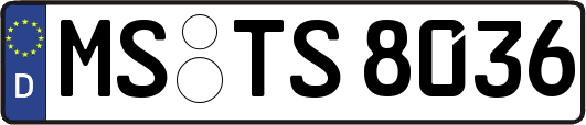 MS-TS8036