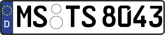 MS-TS8043