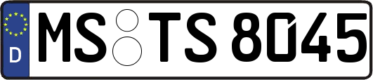 MS-TS8045
