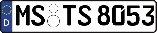 MS-TS8053