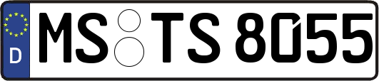 MS-TS8055