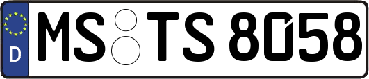MS-TS8058