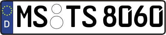 MS-TS8060