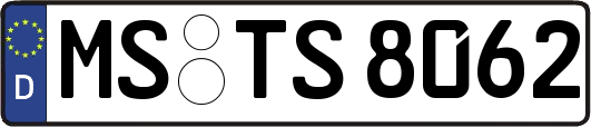MS-TS8062
