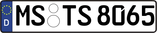 MS-TS8065
