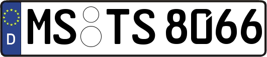 MS-TS8066