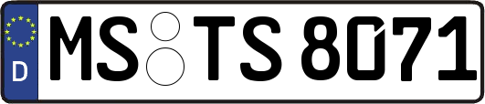 MS-TS8071