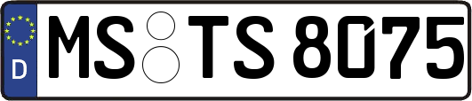 MS-TS8075