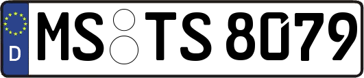 MS-TS8079