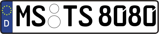 MS-TS8080