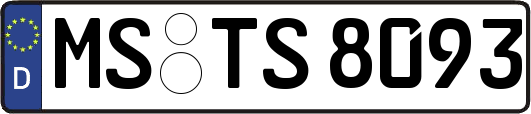 MS-TS8093